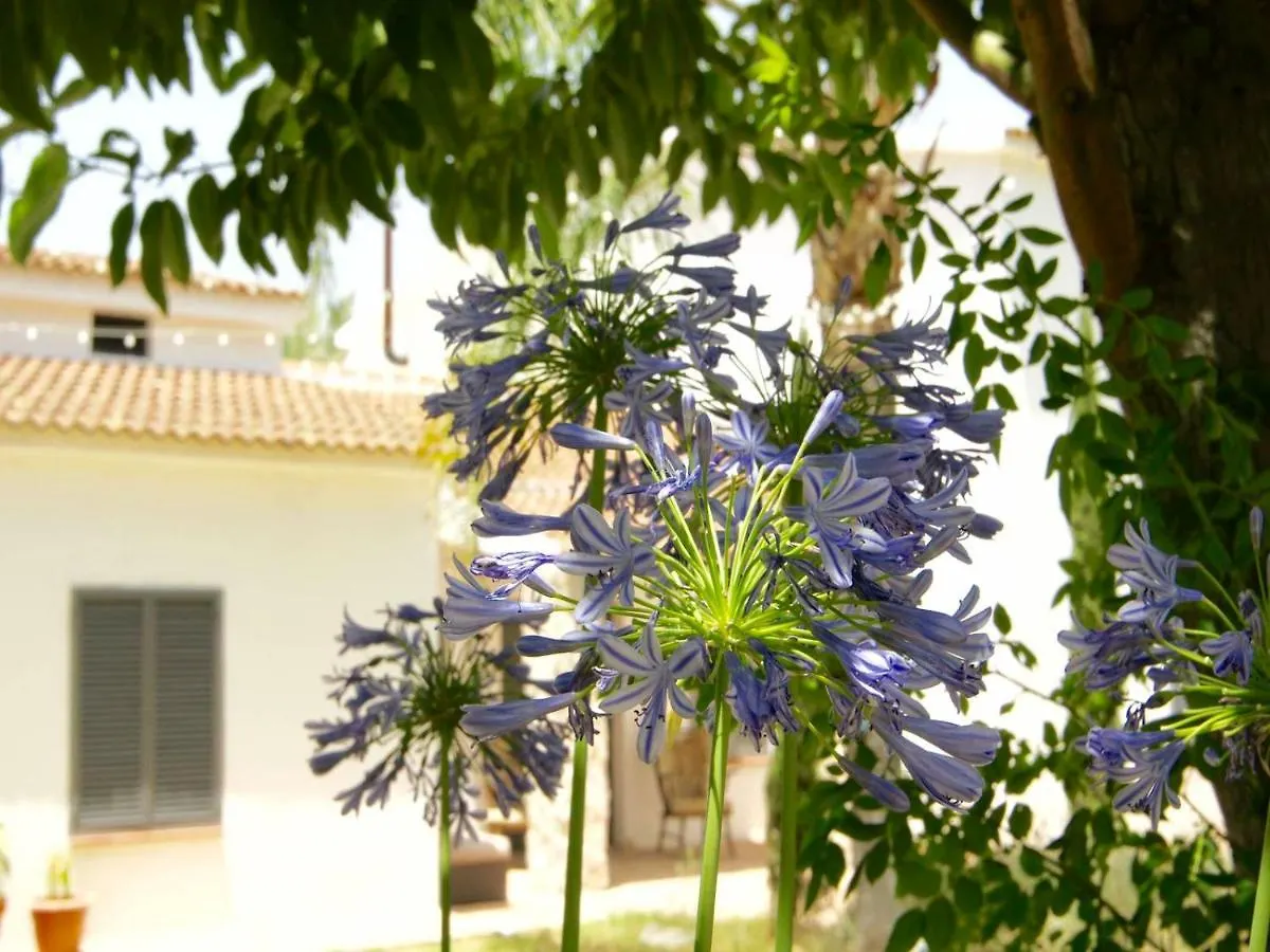 *** Couette-café Finca Mil Estrellas Alhaurín el Grande Espagne
