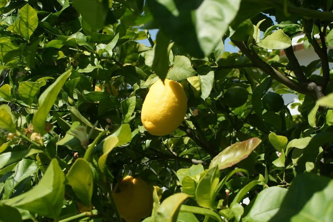 Finca Mil Estrellas Alhaurín el Grande 3*,